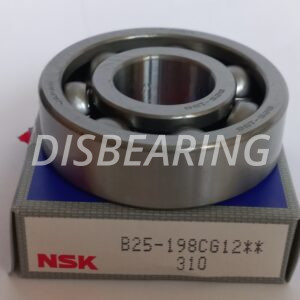 B25-198CG12 NSK