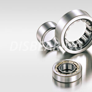 ПІДШИПНИКИ РОЛИКОВІ ЦІЛІНДРИЧНІ